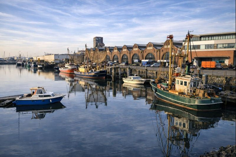 Waarom IJmuiden het verschil maakt