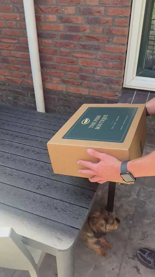 Family Box