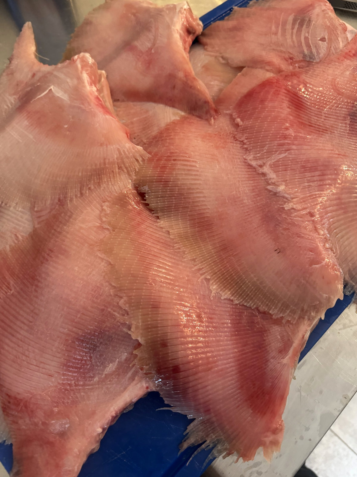 Verse platvisfilet op de tray, dezelfde dag gefileerd in IJmuiden voor de Protein Box