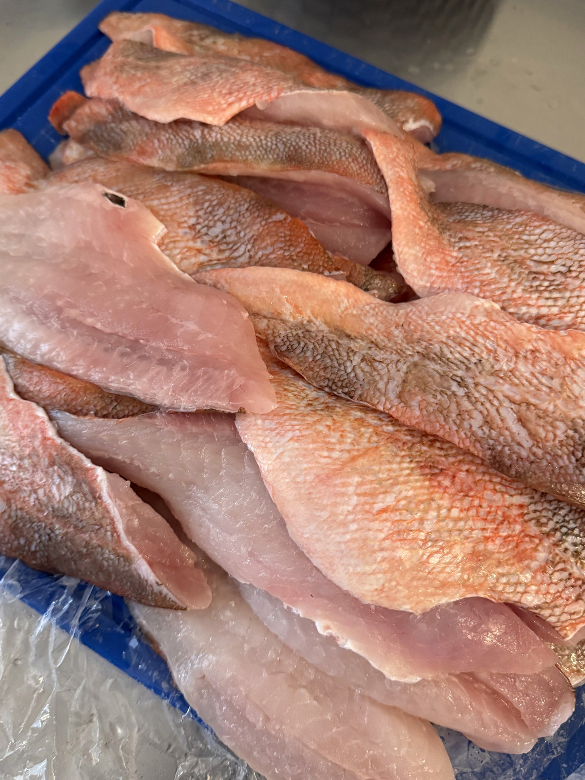 Verse roodbaarsfilet, per portie vacuüm verpakt voor de visbox van The Fish Boutique