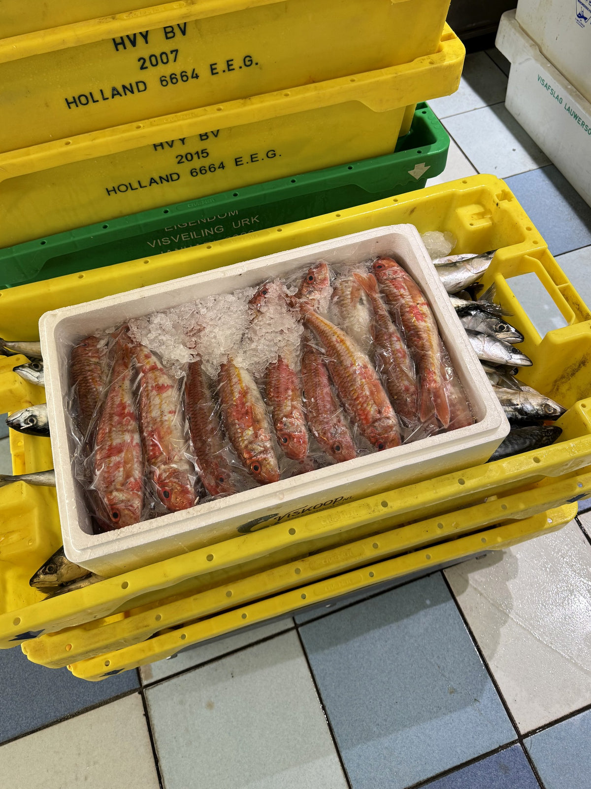 Protein Box